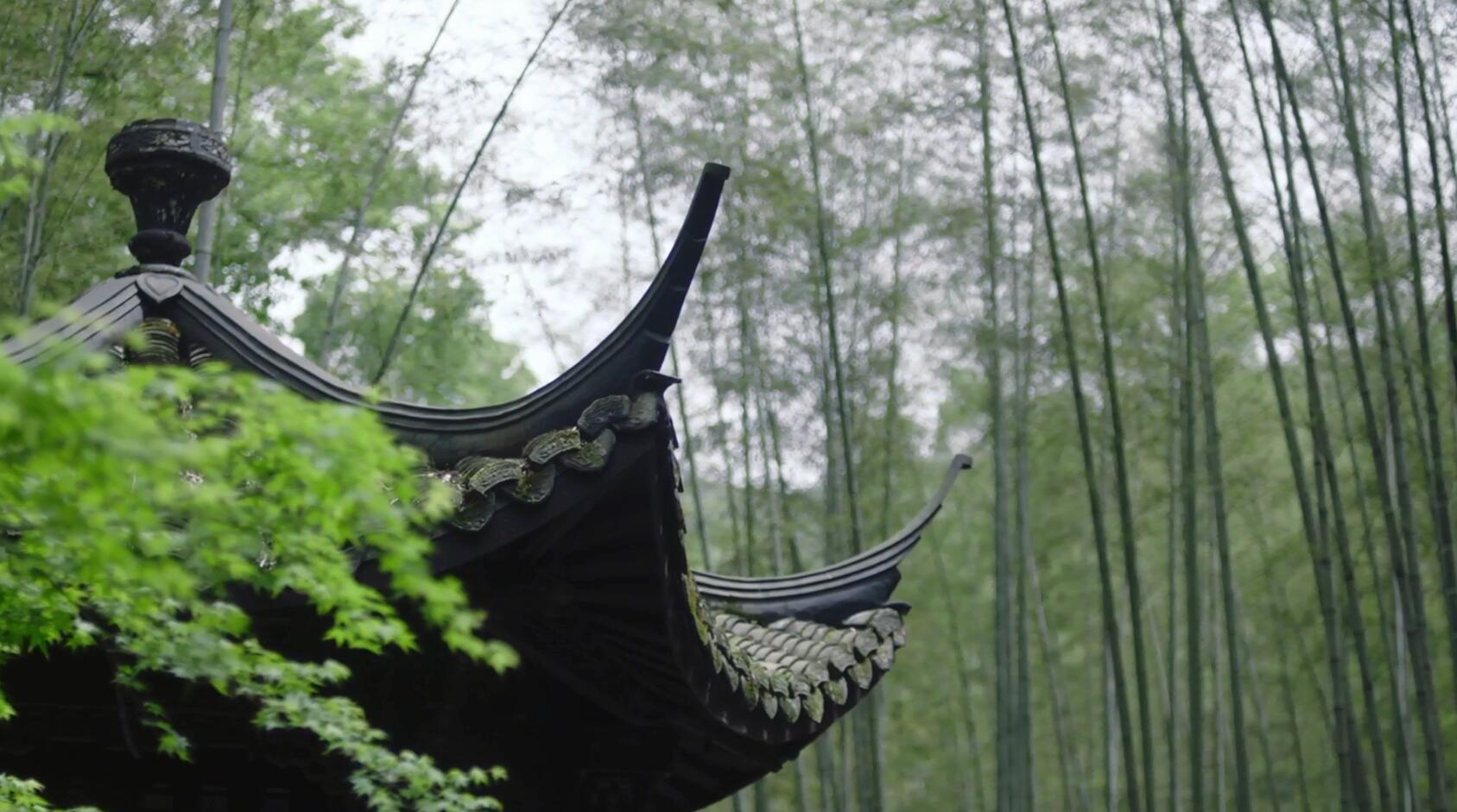 湖州-长兴贡茶院